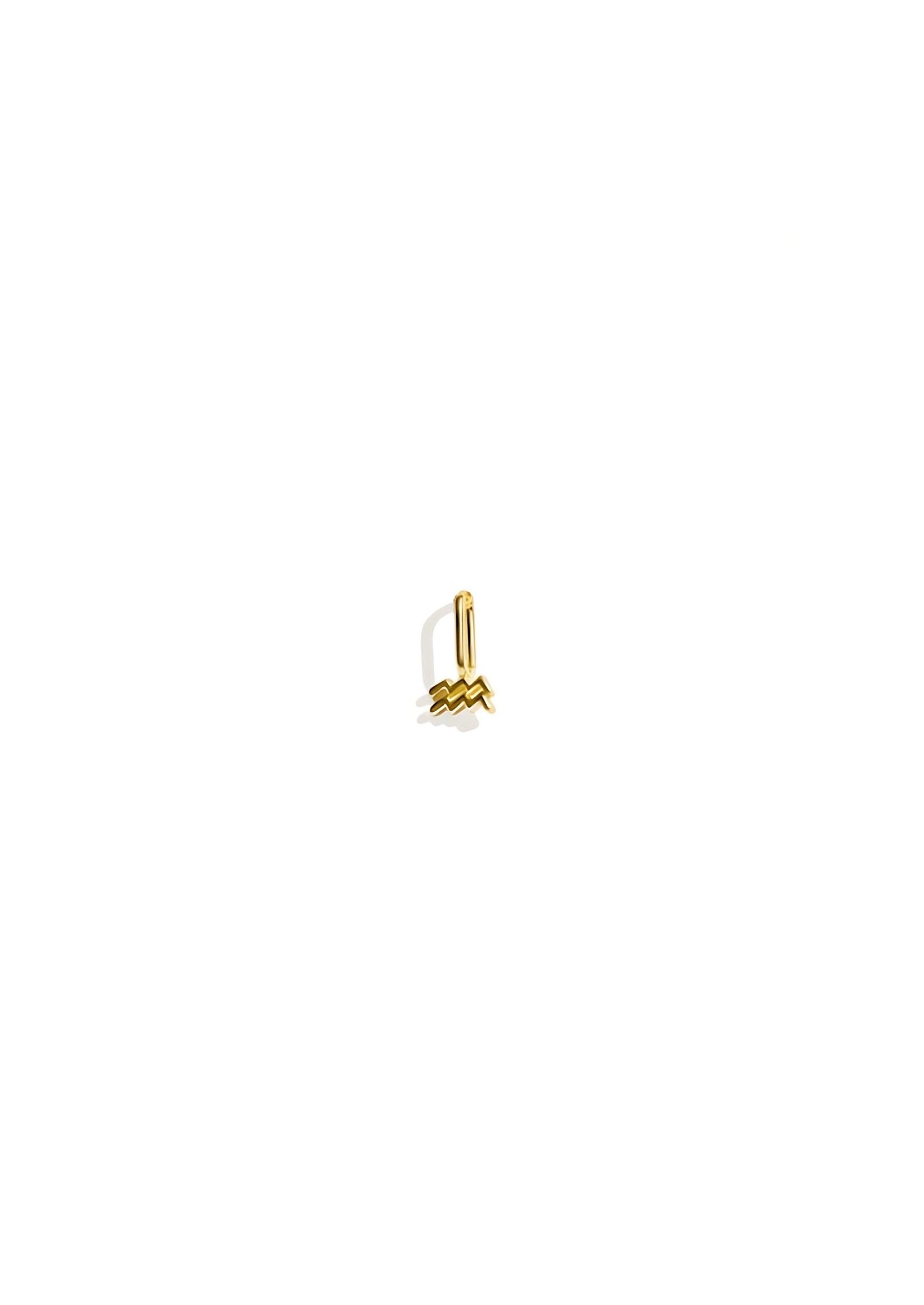 The Zodiac 14ct Gold Filled Charm
