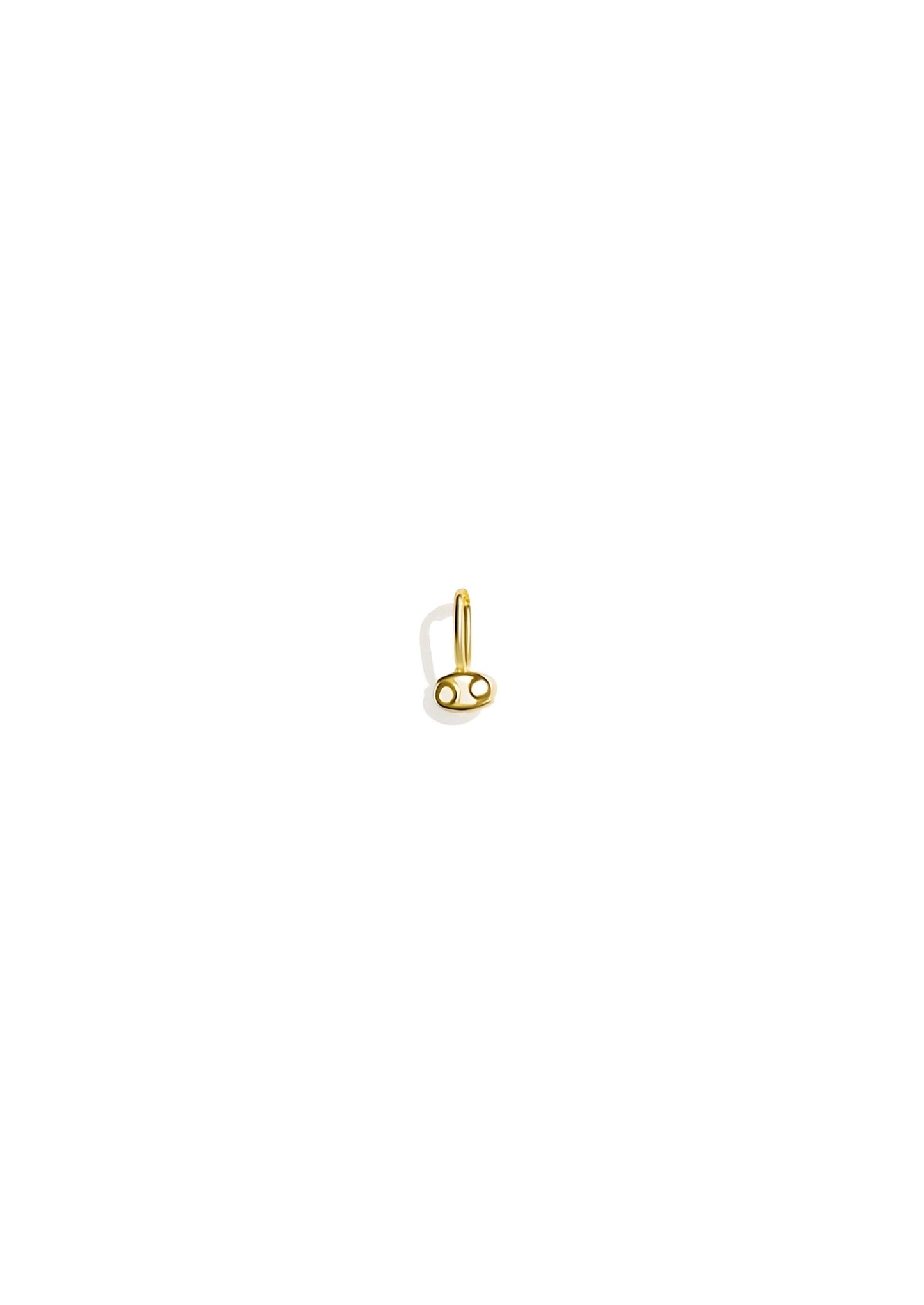 The Zodiac 14ct Gold Filled Charm