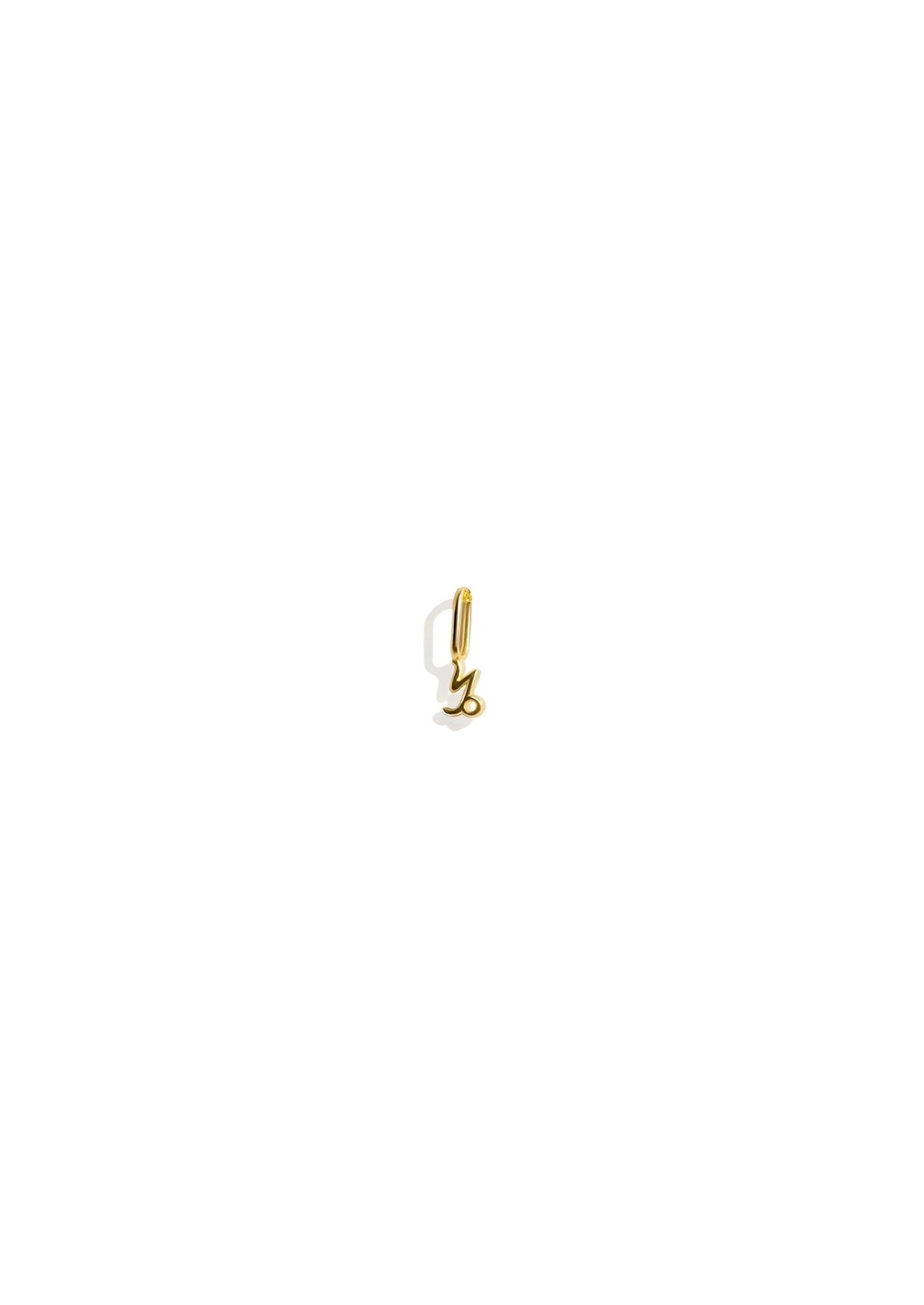 The Zodiac 14ct Gold Filled Charm