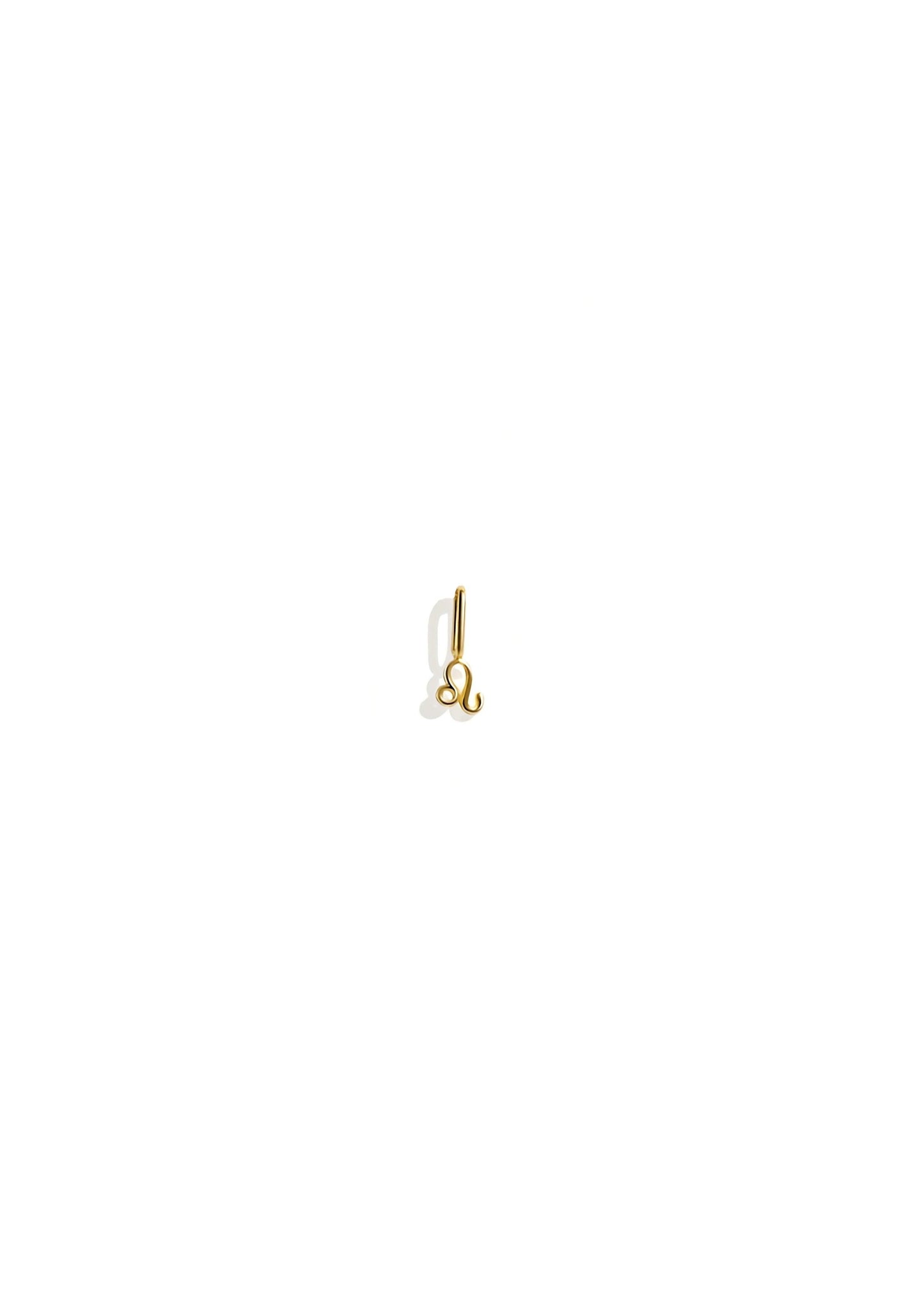 The Zodiac 14ct Gold Filled Charm