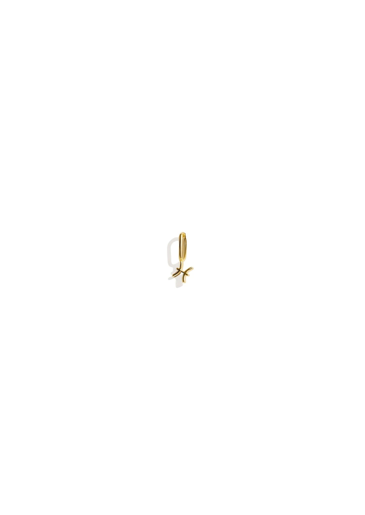 The Zodiac 14ct Gold Filled Charm