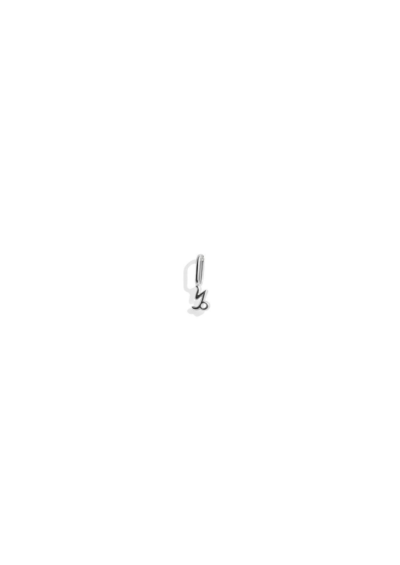 The Zodiac Silver Charm