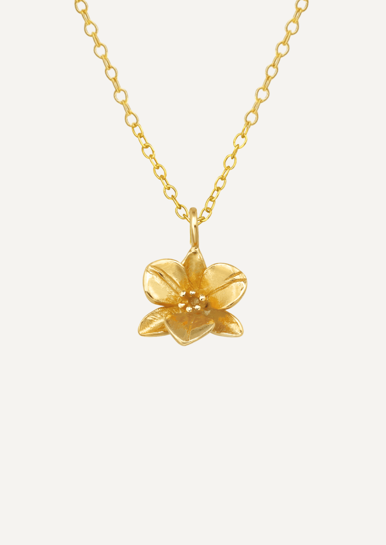 The Orchid 14ct Gold Vermeil Pendant Necklace - Molten Store