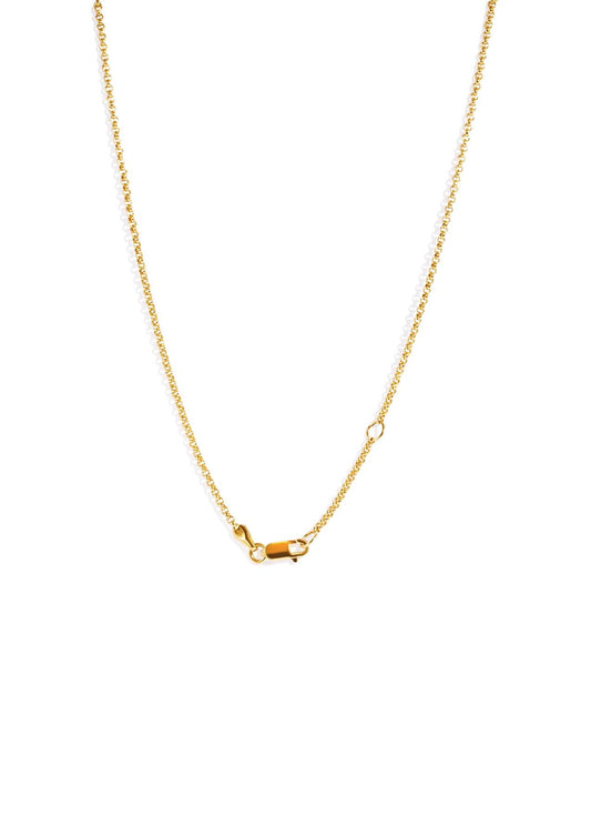 The Whisp Insignia 9ct Solid Gold Necklace - Molten Store