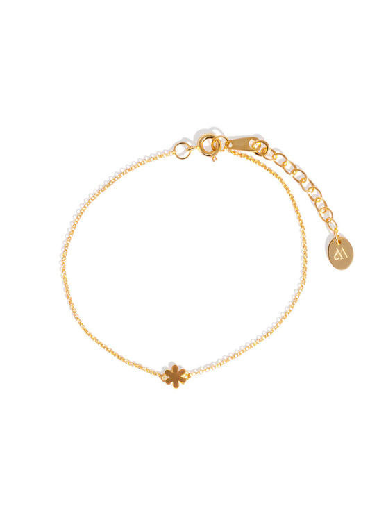 The Golden Daisy Curation