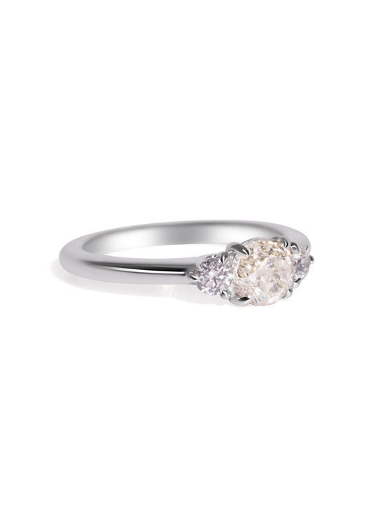 The Ada Ring with 1.23ct Round Salt and Pepper Diamond