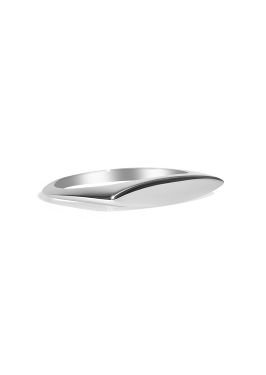 The Cosmos Platinum Signet Ring
