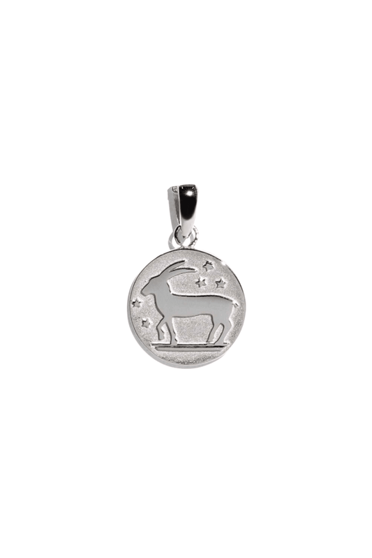 The Capricorn Zodiac Silver Pendant - Molten Store