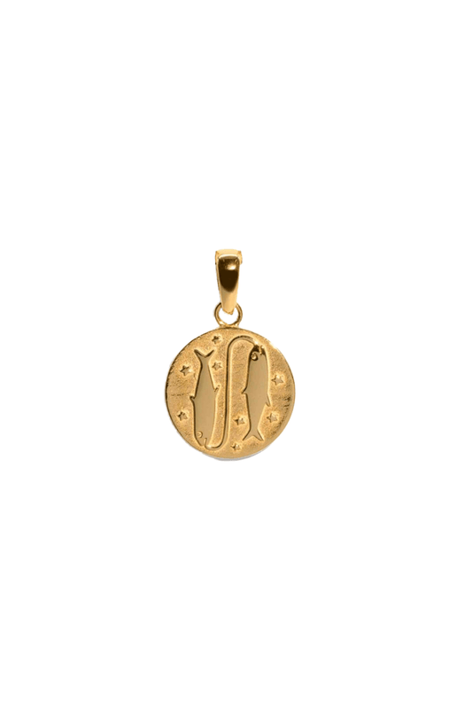 The Pisces Zodiac 18ct Gold Vermeil Pendant - Molten Store