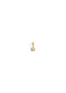 The Zodiac 14ct Gold Filled Charm