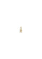 The Zodiac 14ct Gold Filled Charm