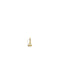 The Zodiac 14ct Gold Filled Charm