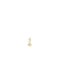 The Zodiac 14ct Gold Filled Charm
