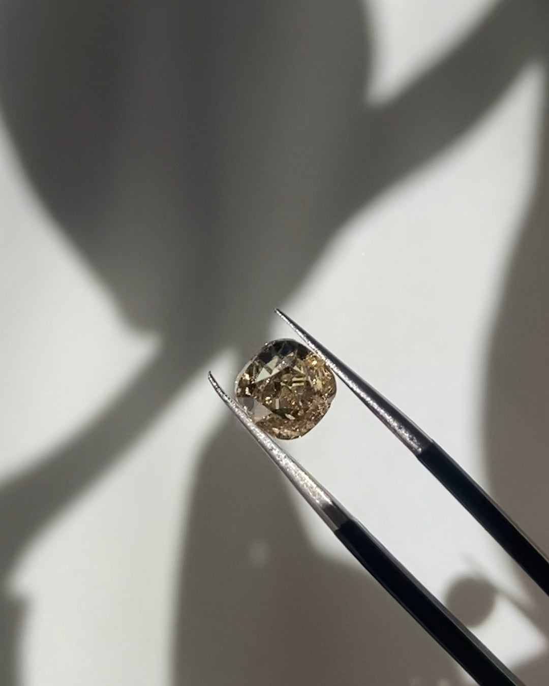 A precious stone seen on the hand in natural light