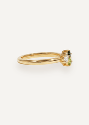 The Bellerose Ring - Molten Store