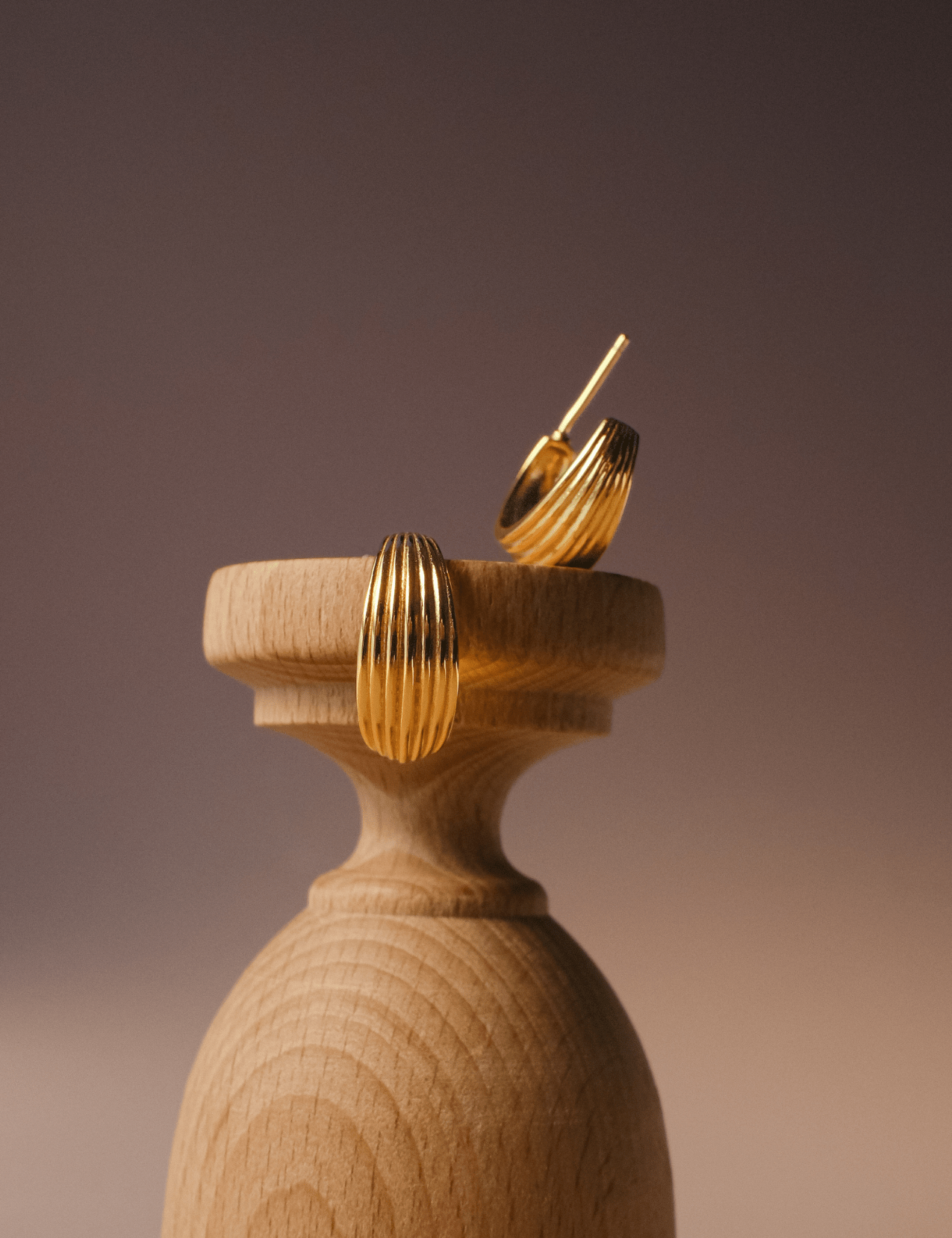 The Echo Gold Vermeil Earrings - Molten Store