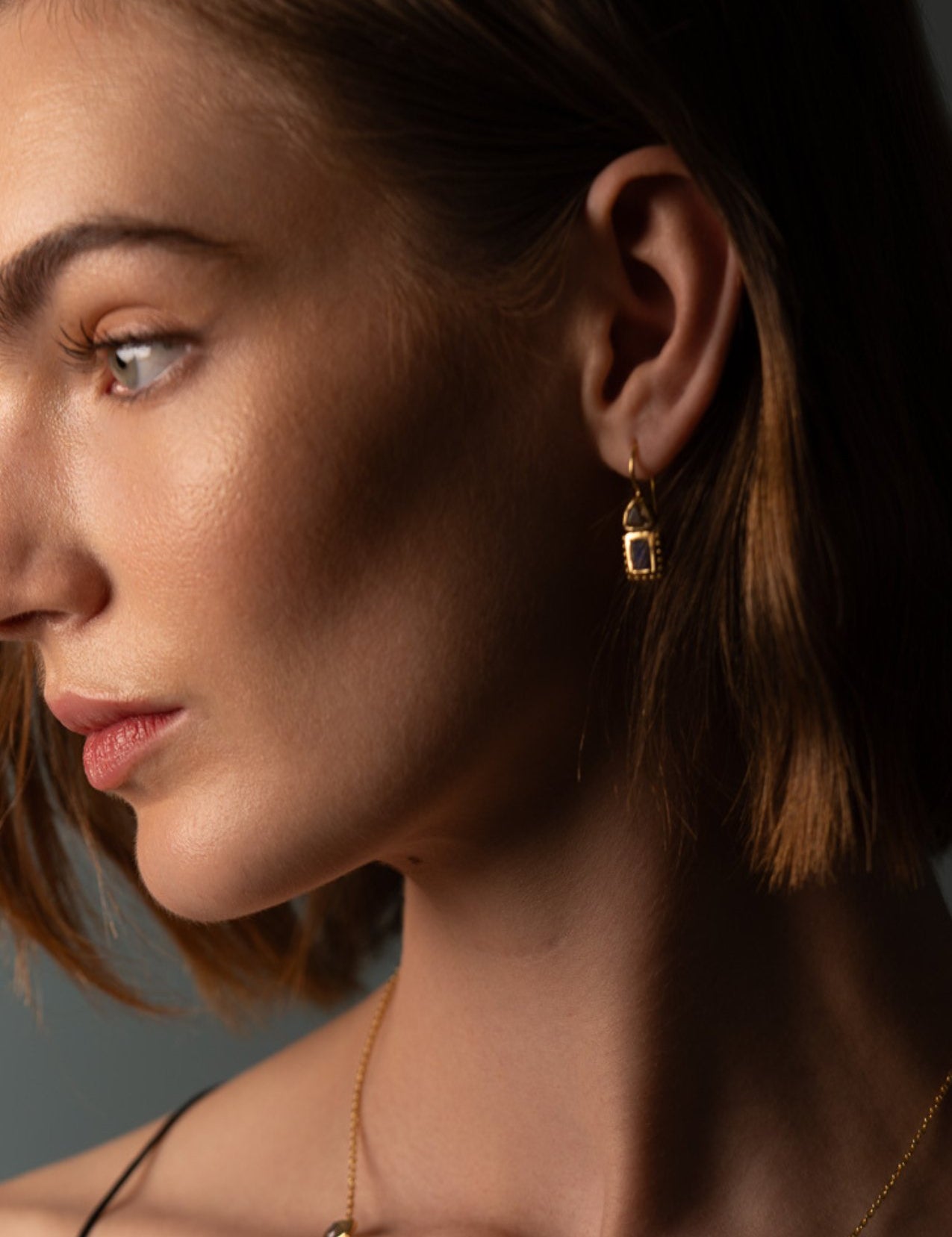 The Fiore Morganite & Labradorite 18ct Gold Vermeil Hook Earrings - Molten Store
