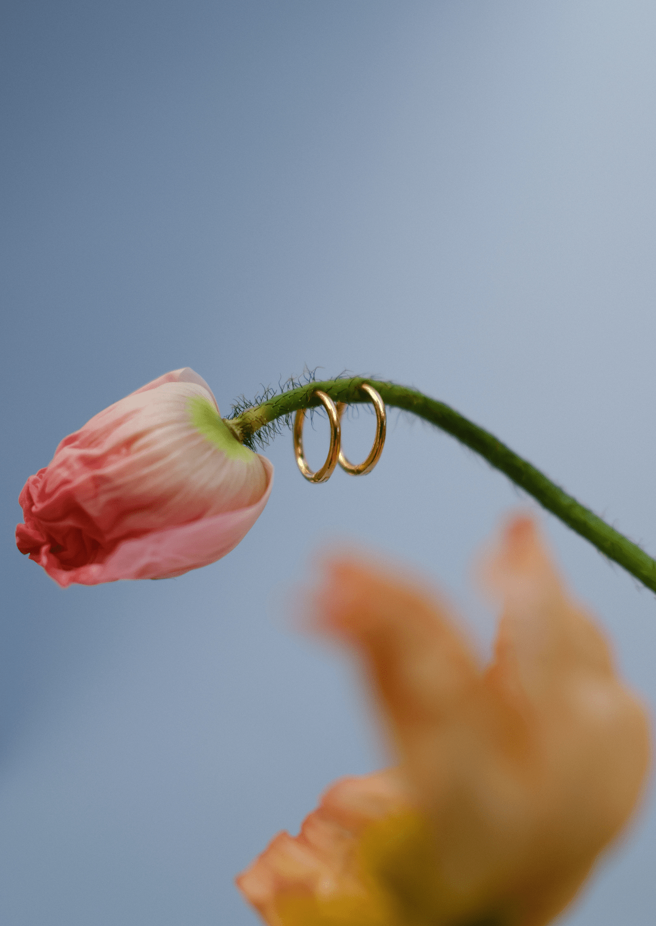 The Horizon 14ct Gold Vermeil Sleeper Earrings - Molten Store