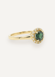 The Iris Ring with 0.98ct Oval Cut Parti Sapphire (1.12ct TCW) - Molten Store