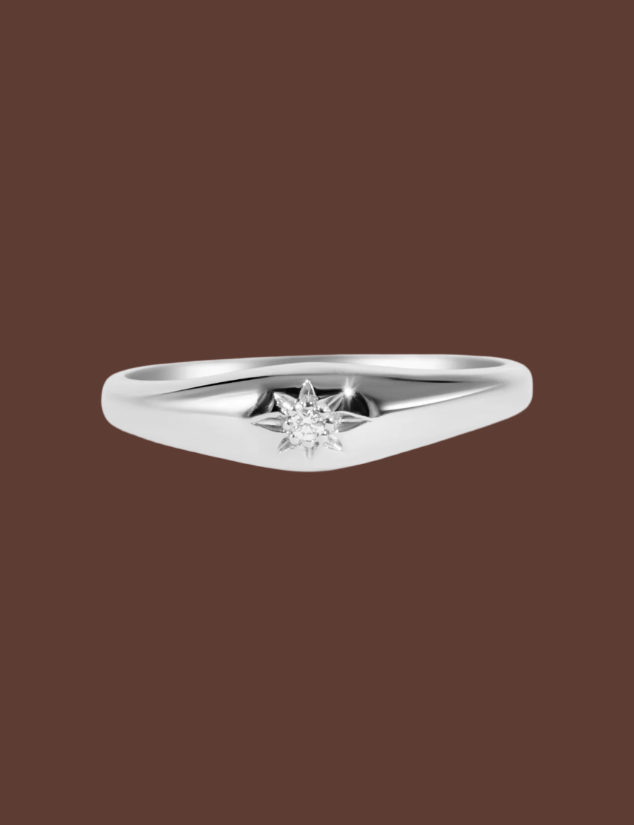 The Mini Compass Diamond Silver Signet - Molten Store