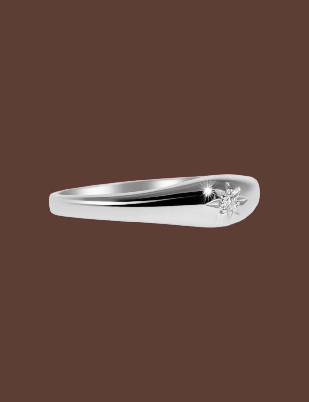 The Mini Compass Diamond Silver Signet - Molten Store