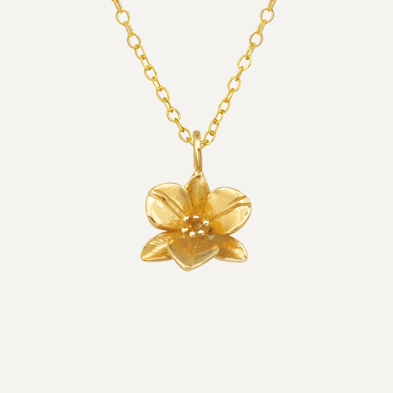 The Orchid 14ct Gold Vermeil Pendant Necklace - Molten Store