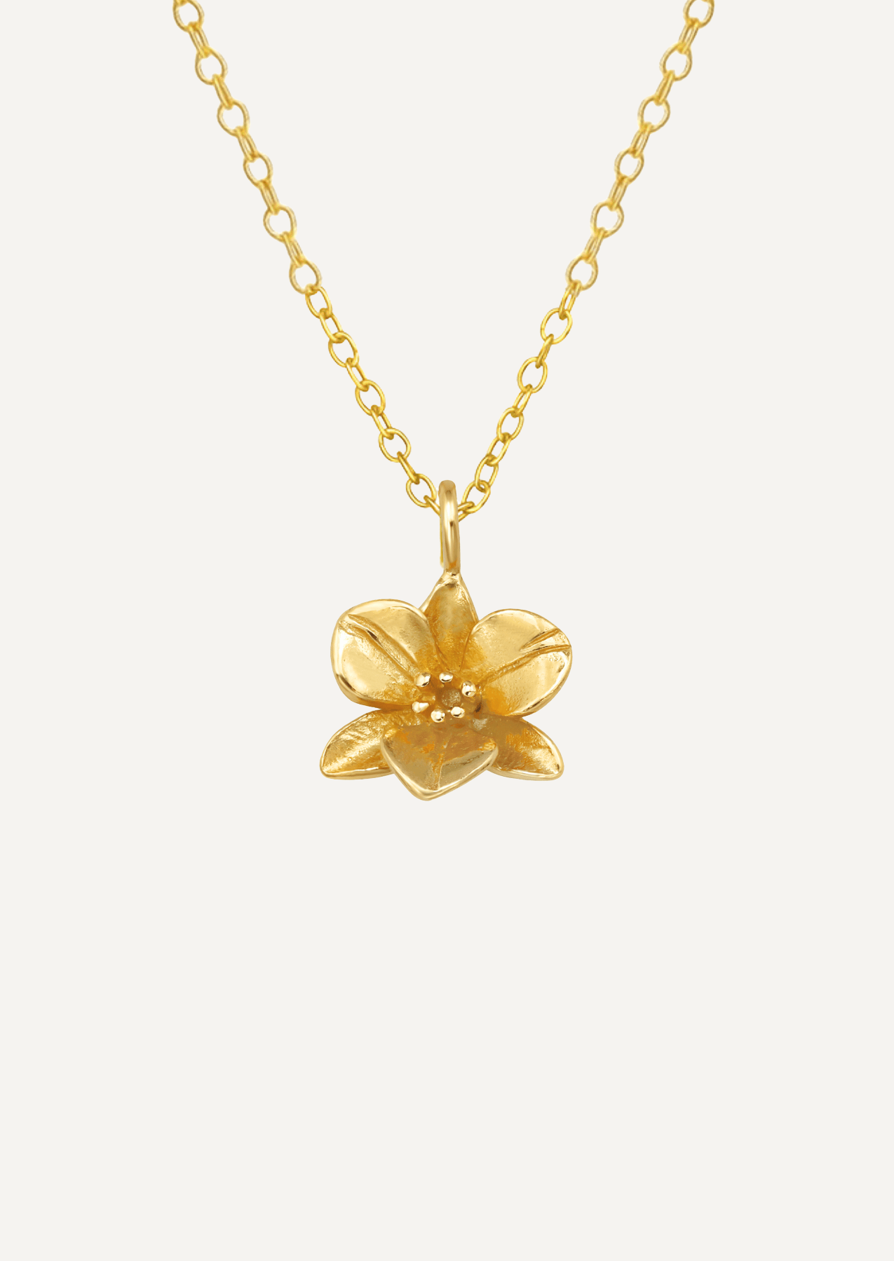 The Orchid 14ct Gold Vermeil Pendant Necklace - Molten Store