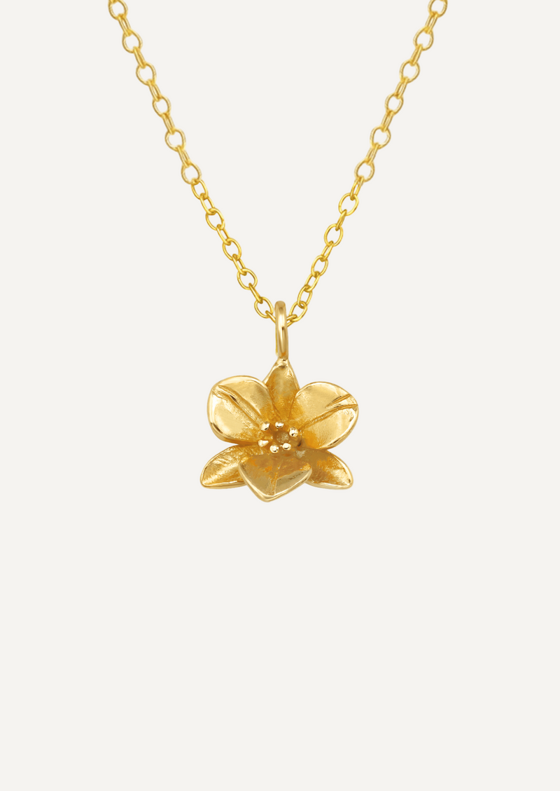 The Orchid 14ct Gold Vermeil Pendant Necklace - Molten Store