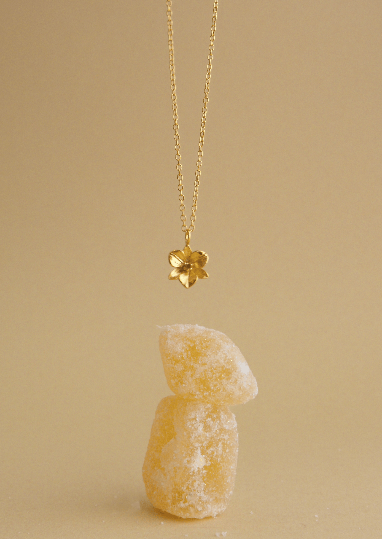 The Orchid 14ct Gold Vermeil Pendant Necklace - Molten Store