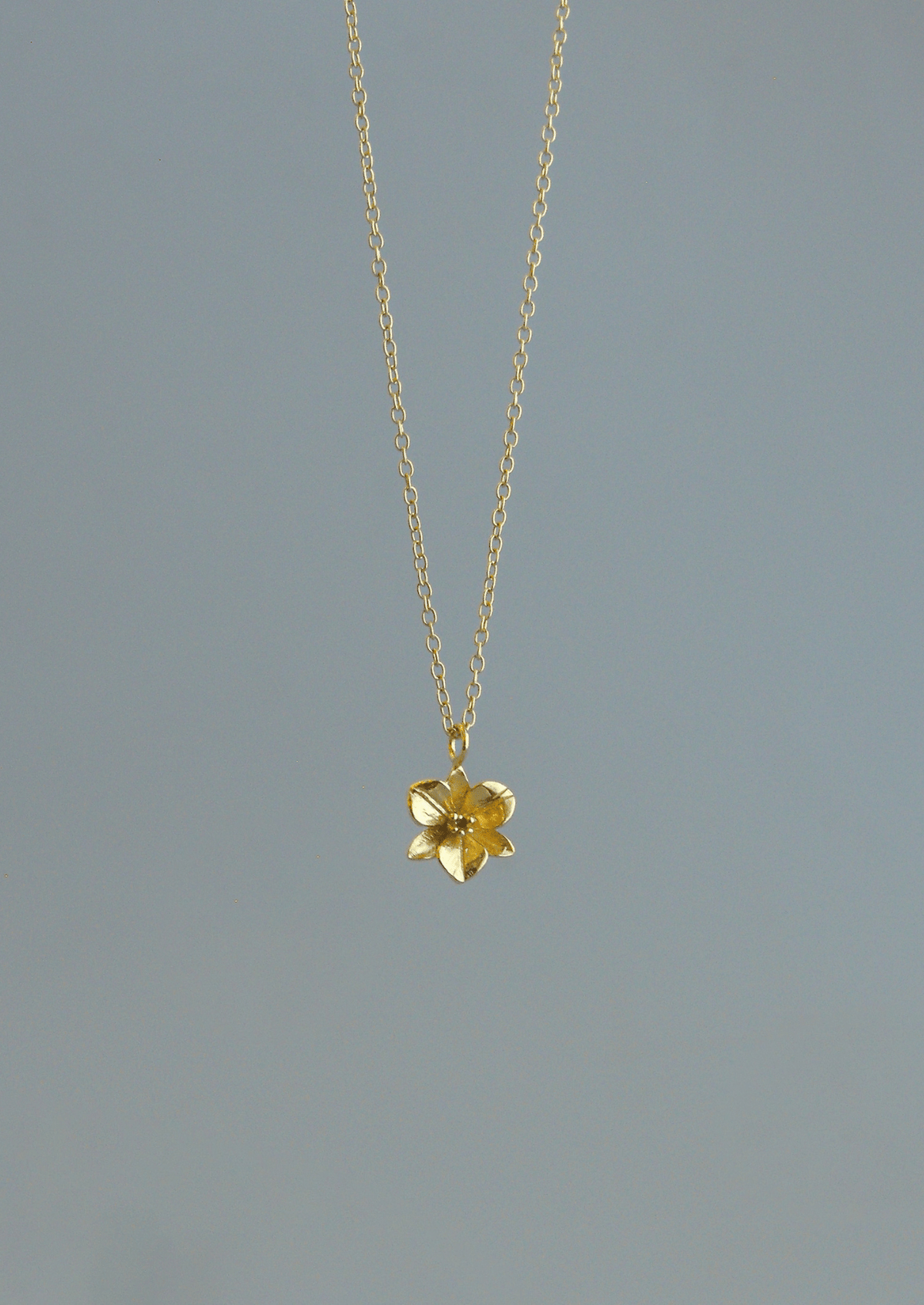 The Orchid 14ct Gold Vermeil Pendant Necklace - Molten Store