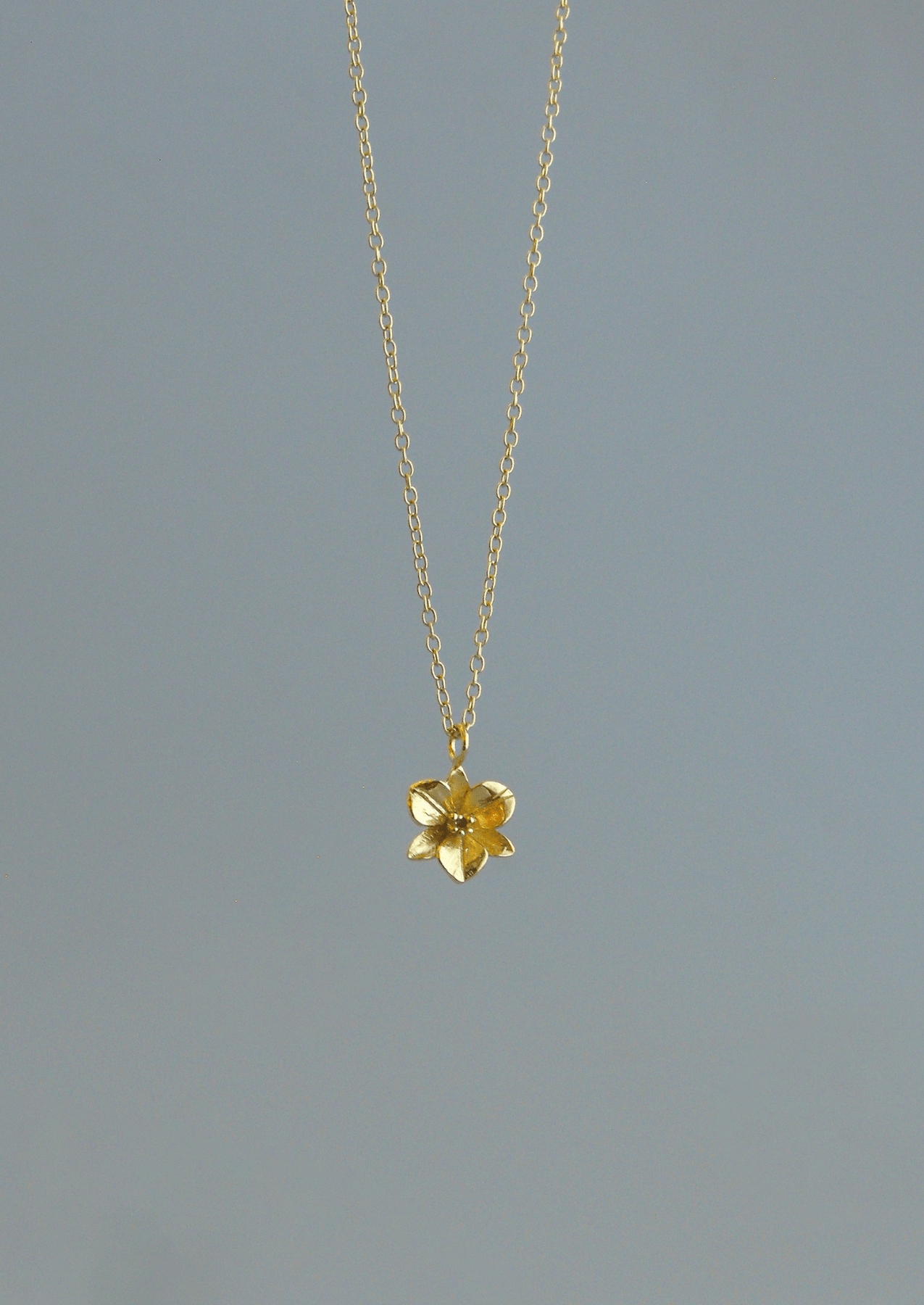 The Orchid 14ct Gold Vermeil Pendant Necklace - Molten Store