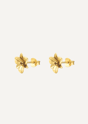 The Orchid 14ct Gold Vermeil Stud Earrings - Molten Store