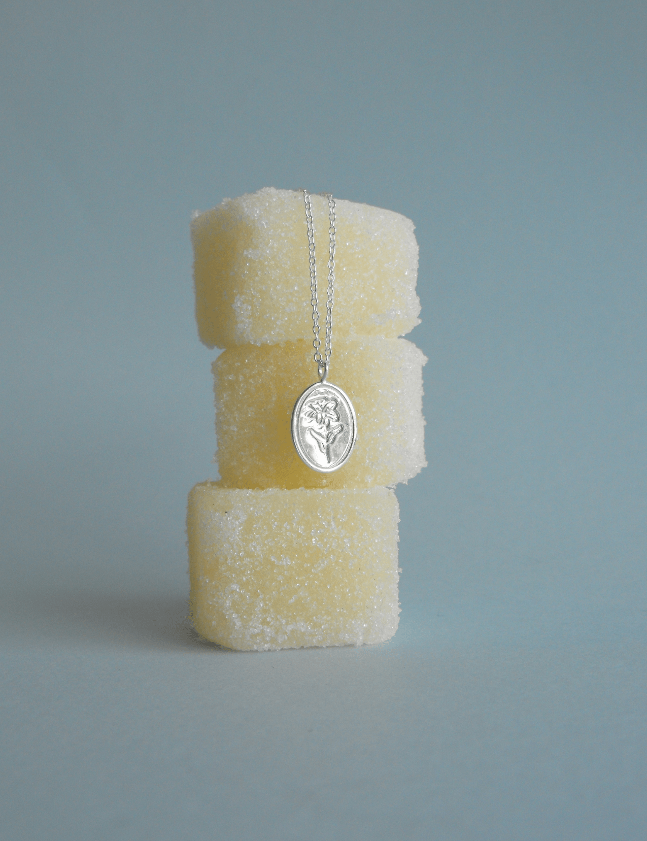 The Perennial Sterling Silver Pendant Necklace - Molten Store