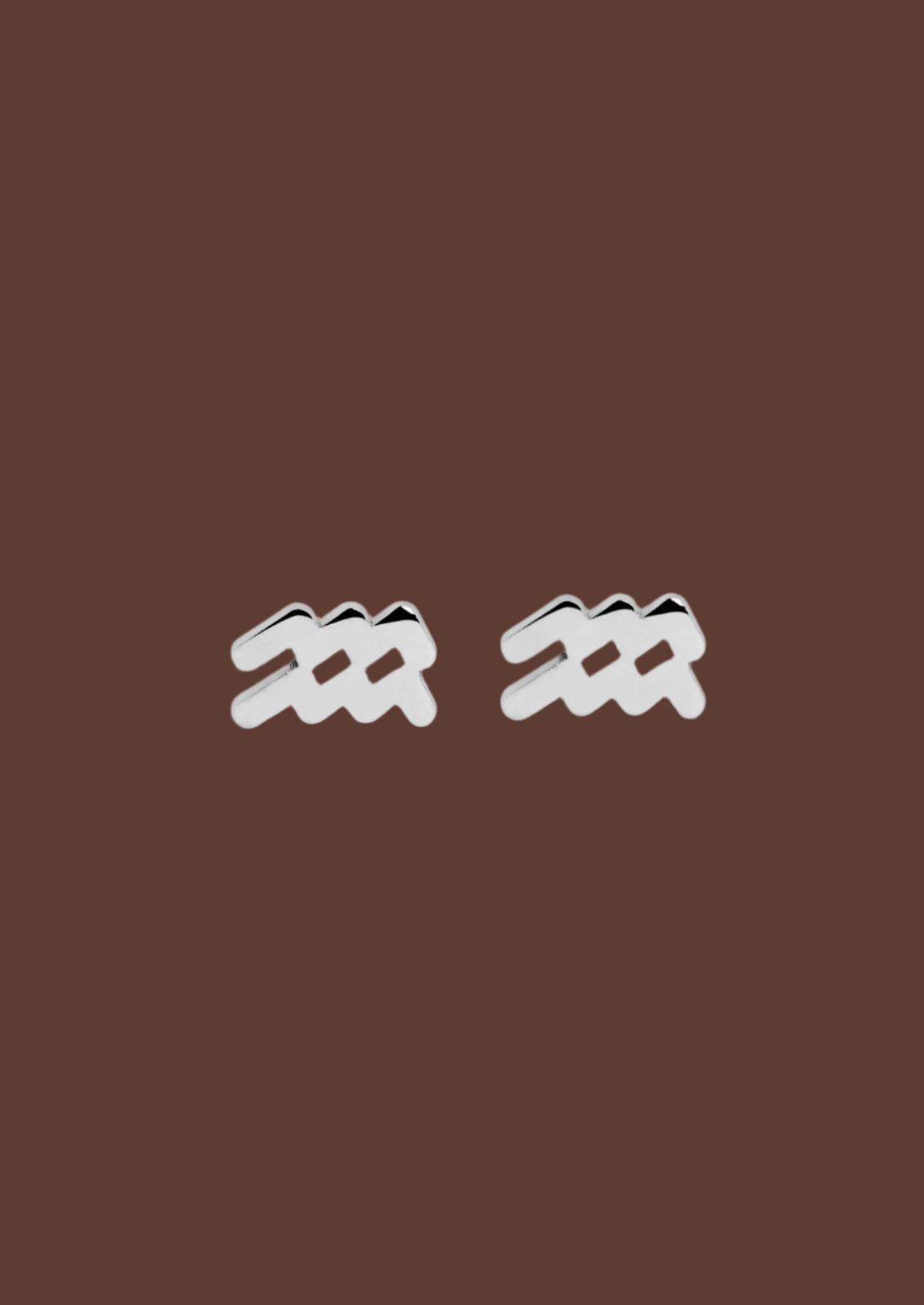 The Zodiac Silver Stud Earrings - Molten Store
