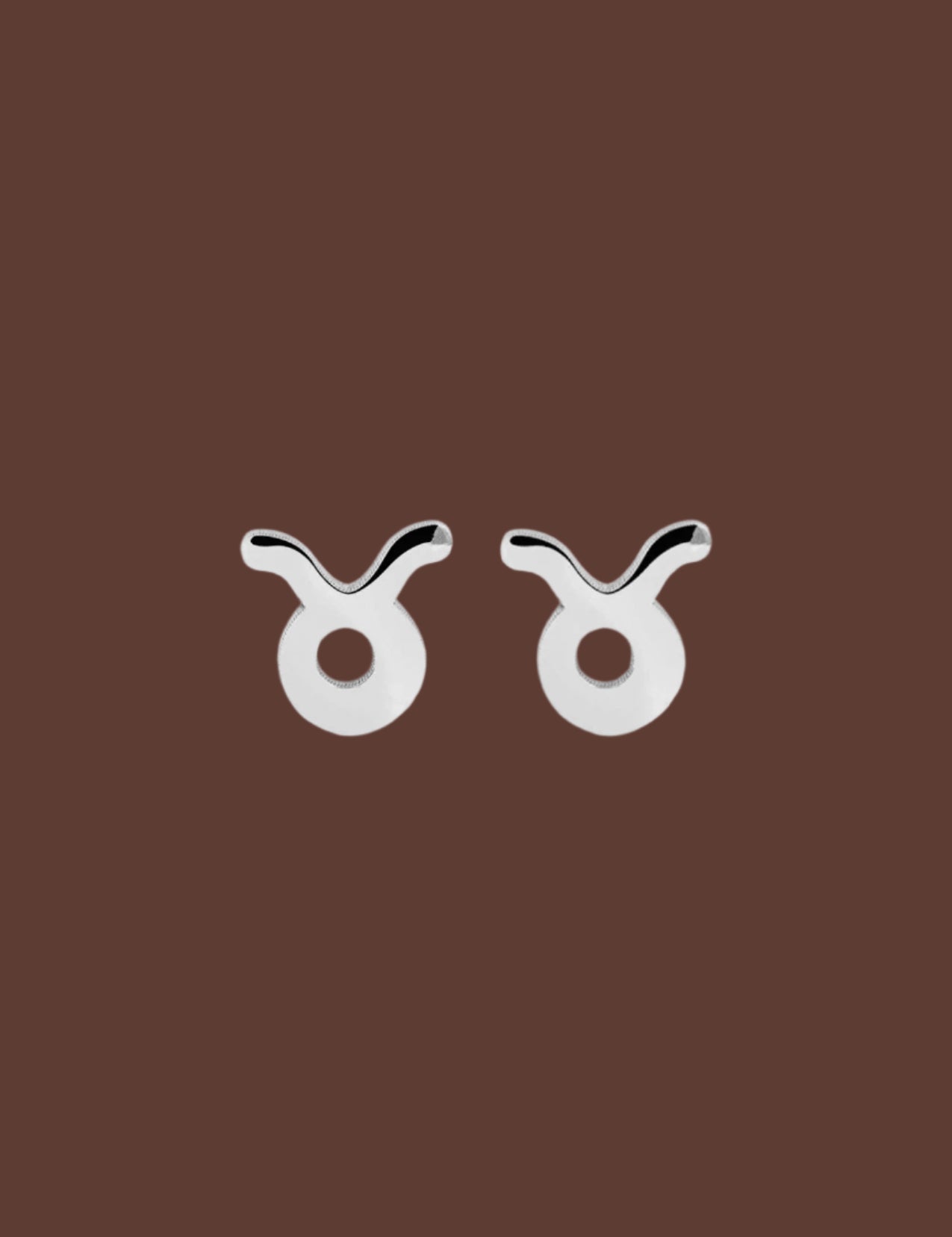 The Zodiac Silver Stud Earrings - Molten Store