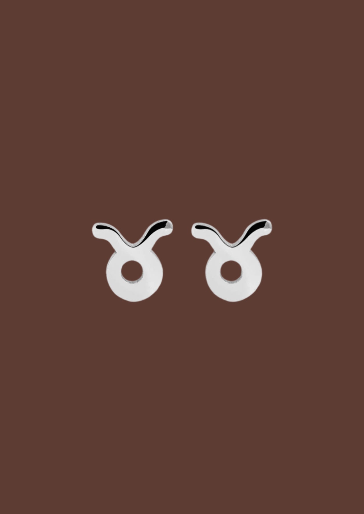 The Zodiac Silver Stud Earrings - Molten Store