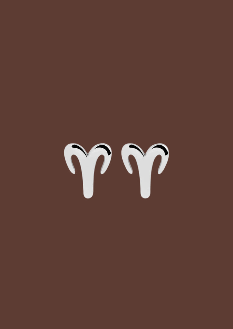 The Zodiac Silver Stud Earrings - Molten Store
