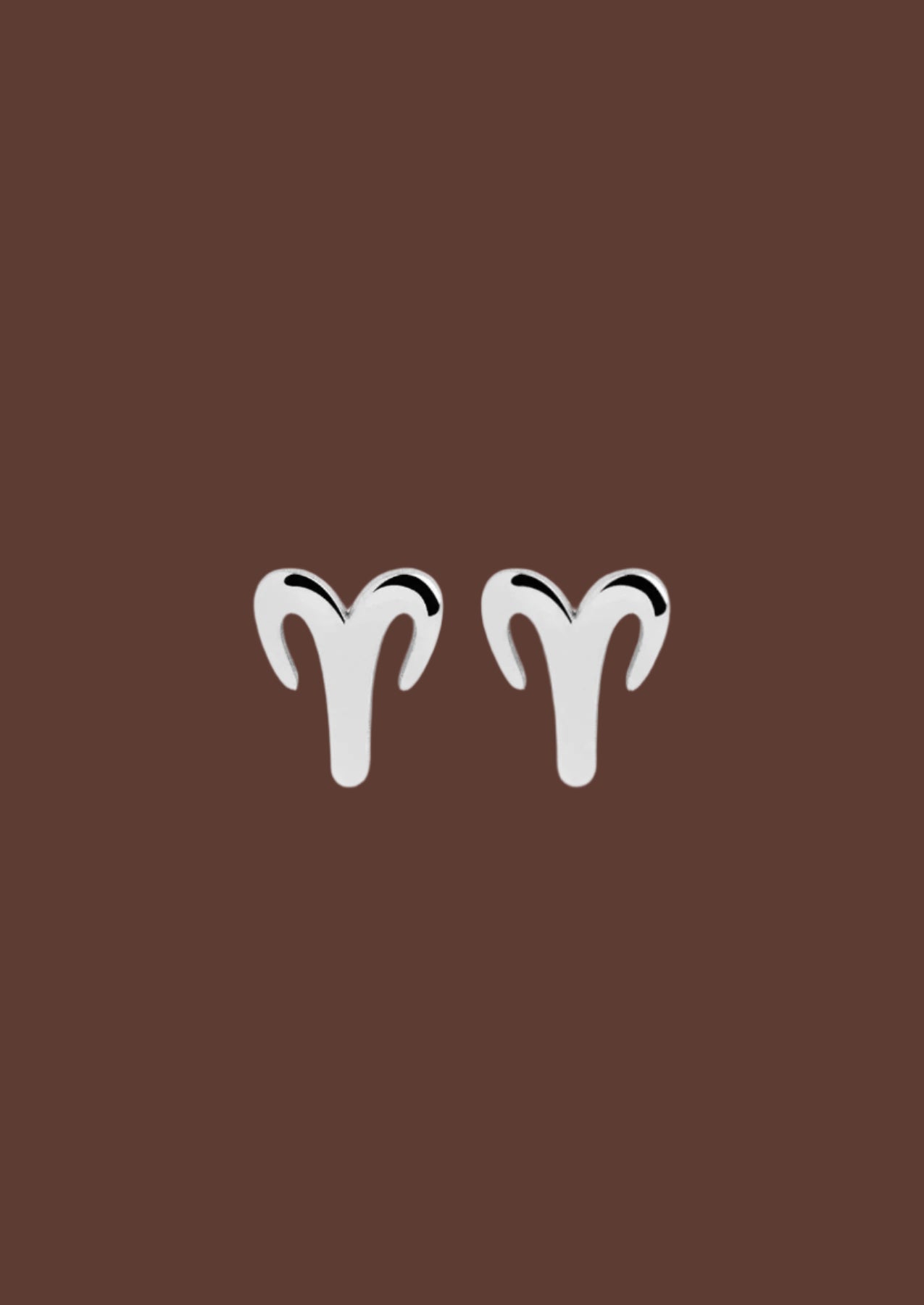 The Zodiac Silver Stud Earrings - Molten Store
