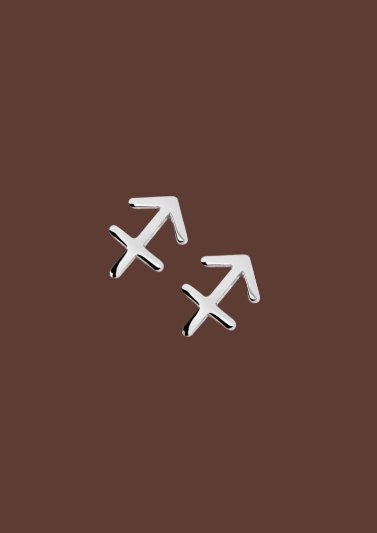 The Zodiac Silver Stud Earrings - Molten Store