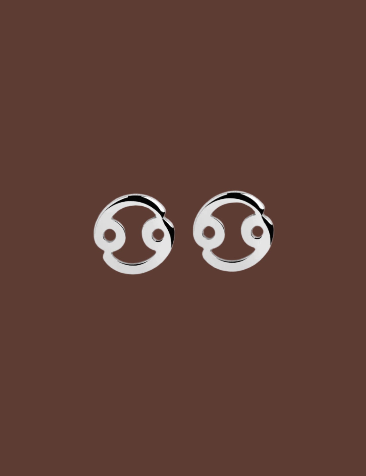 The Zodiac Silver Stud Earrings - Molten Store