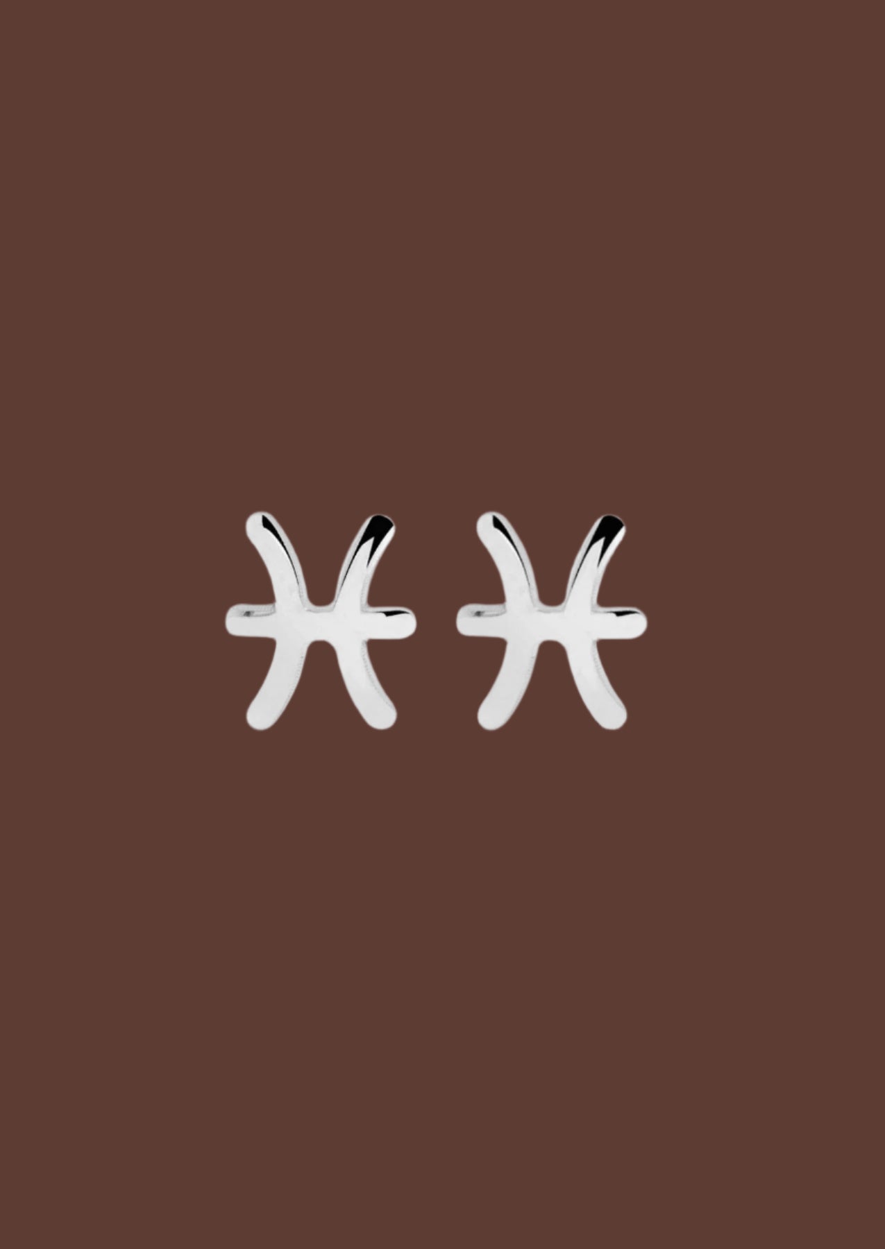The Zodiac Silver Stud Earrings - Molten Store