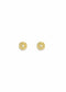 The Solid Gold Diamond Compass Stud Earrings
