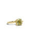 The June Ring with 2.67ct Sage Tourmaline