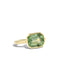 The Isabel Ring with 4.92ct Tourmaline