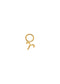 The Gold Zodiac Earring Charm