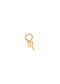 The Gold Zodiac Earring Charm
