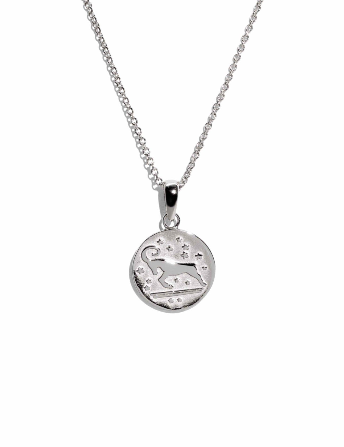The Aries Zodiac Silver Necklace - Molten Store