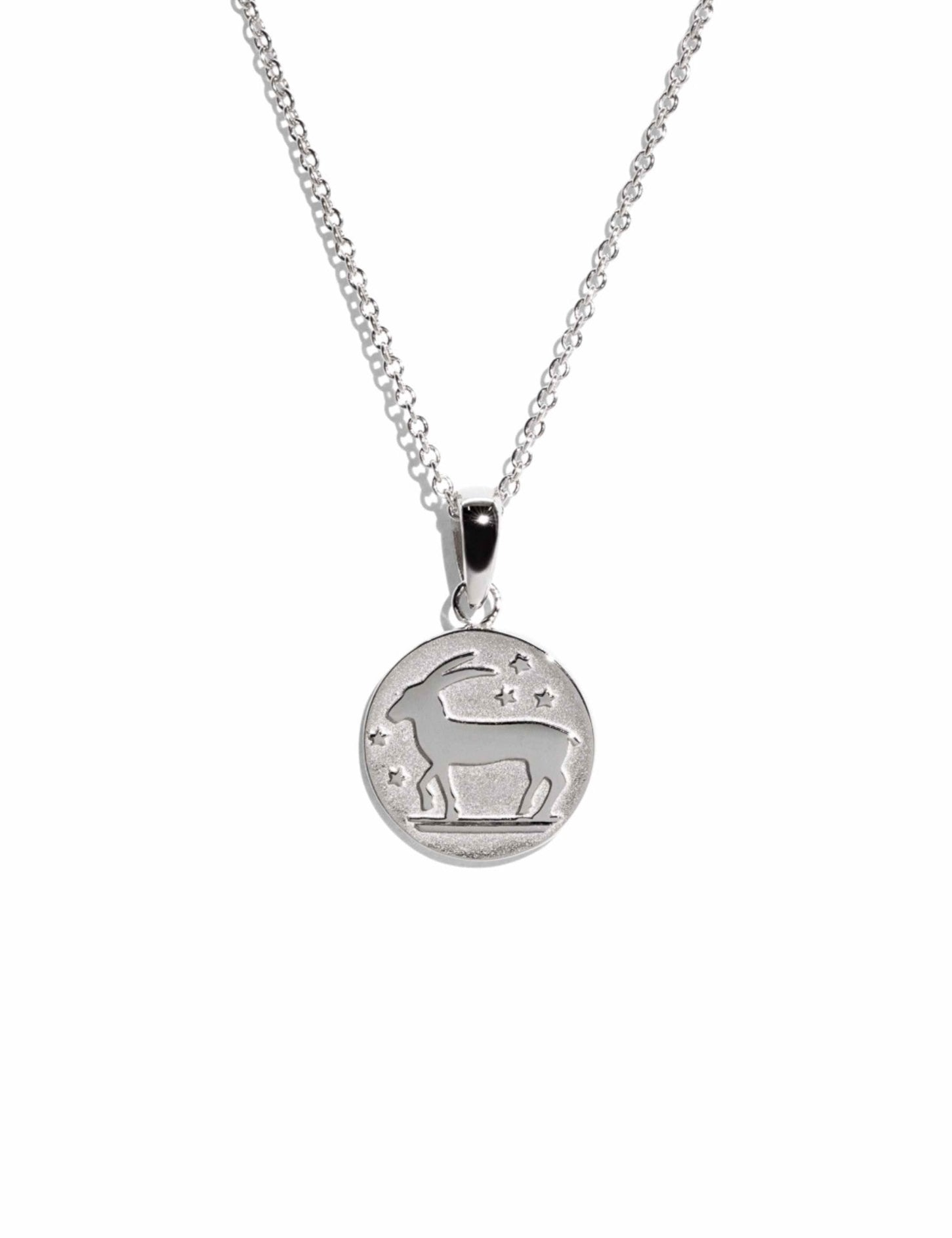 The Capricorn Zodiac Silver Necklace - Molten Store