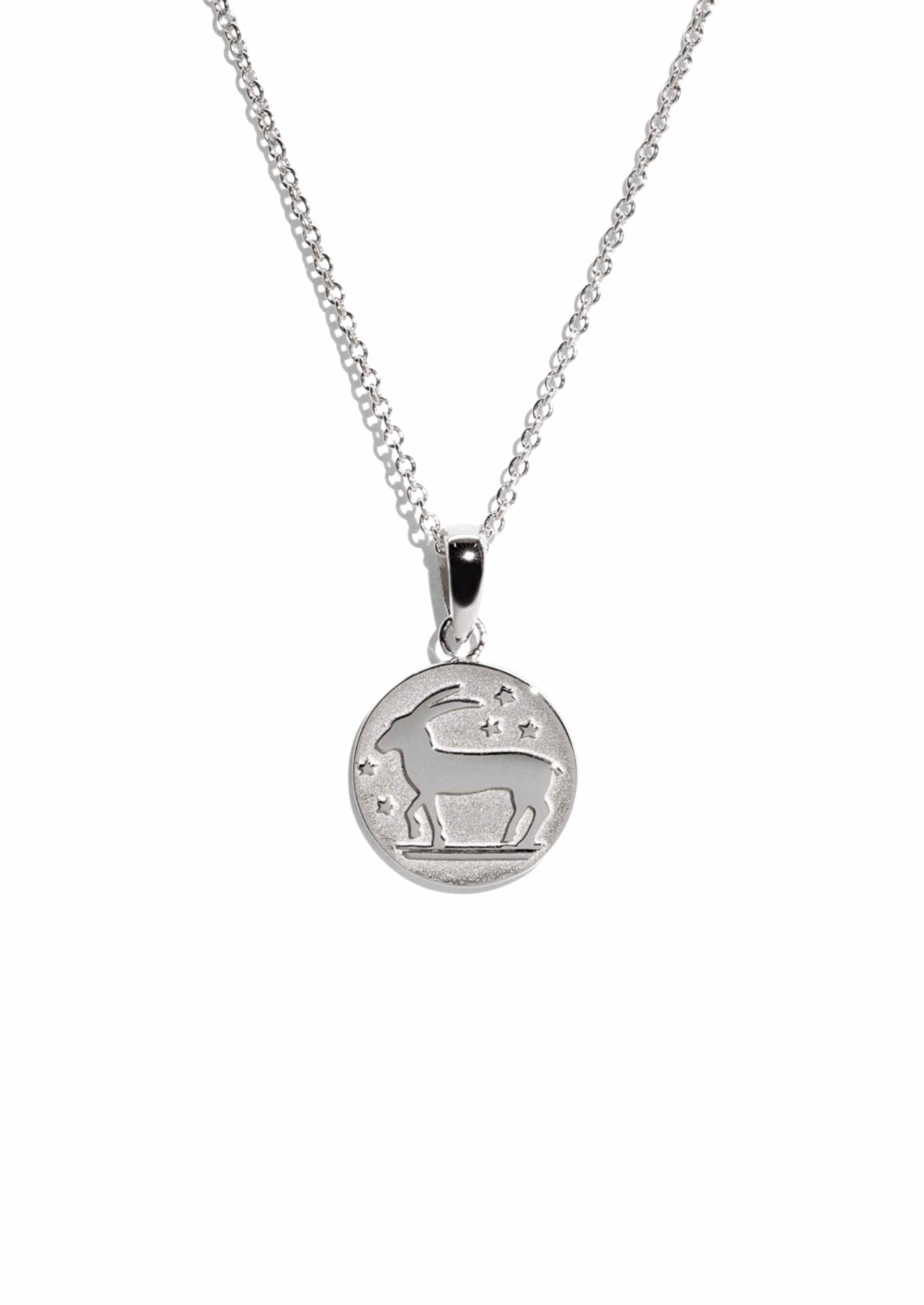 The Capricorn Zodiac Silver Necklace - Molten Store