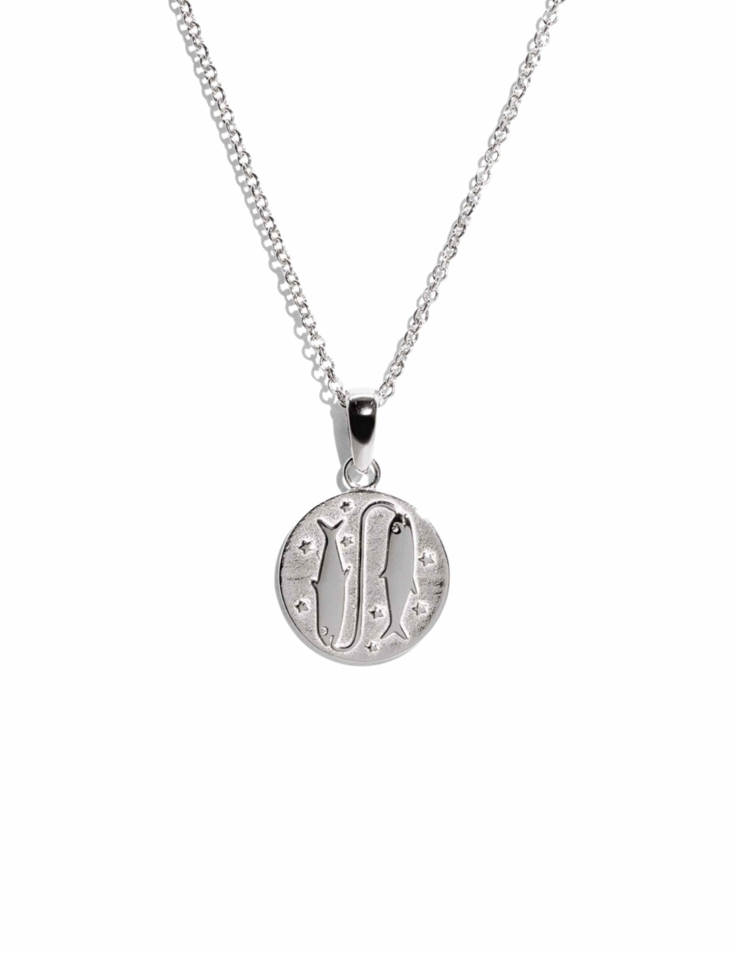 The Pisces Zodiac Silver Necklace - Molten Store